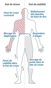 Les ingrédients de la performance