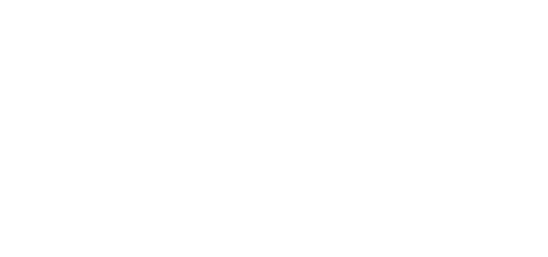 Logo Mind Développement SARL